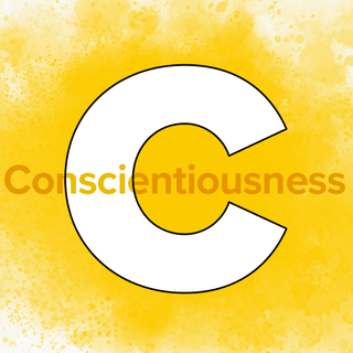 Conscientiousness: DiSC C style