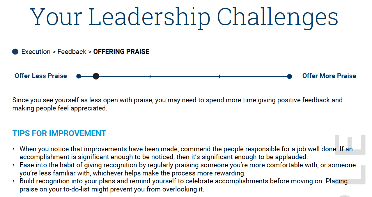 Part of a profile page from Everything DiSC Work of Leaders, section title Your Leadership Challenges