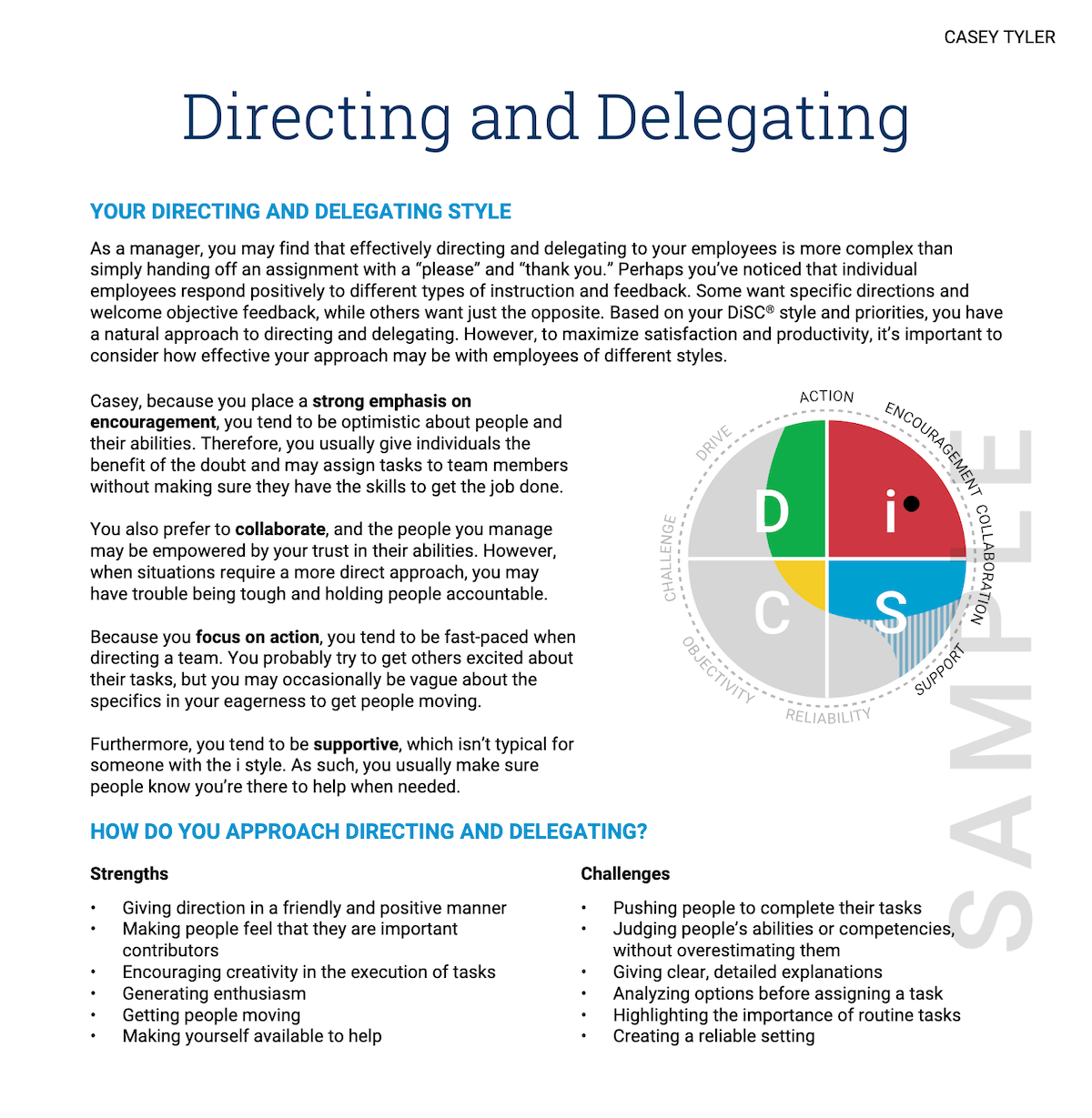 Directing and Delegating section of Everything DiSC Management