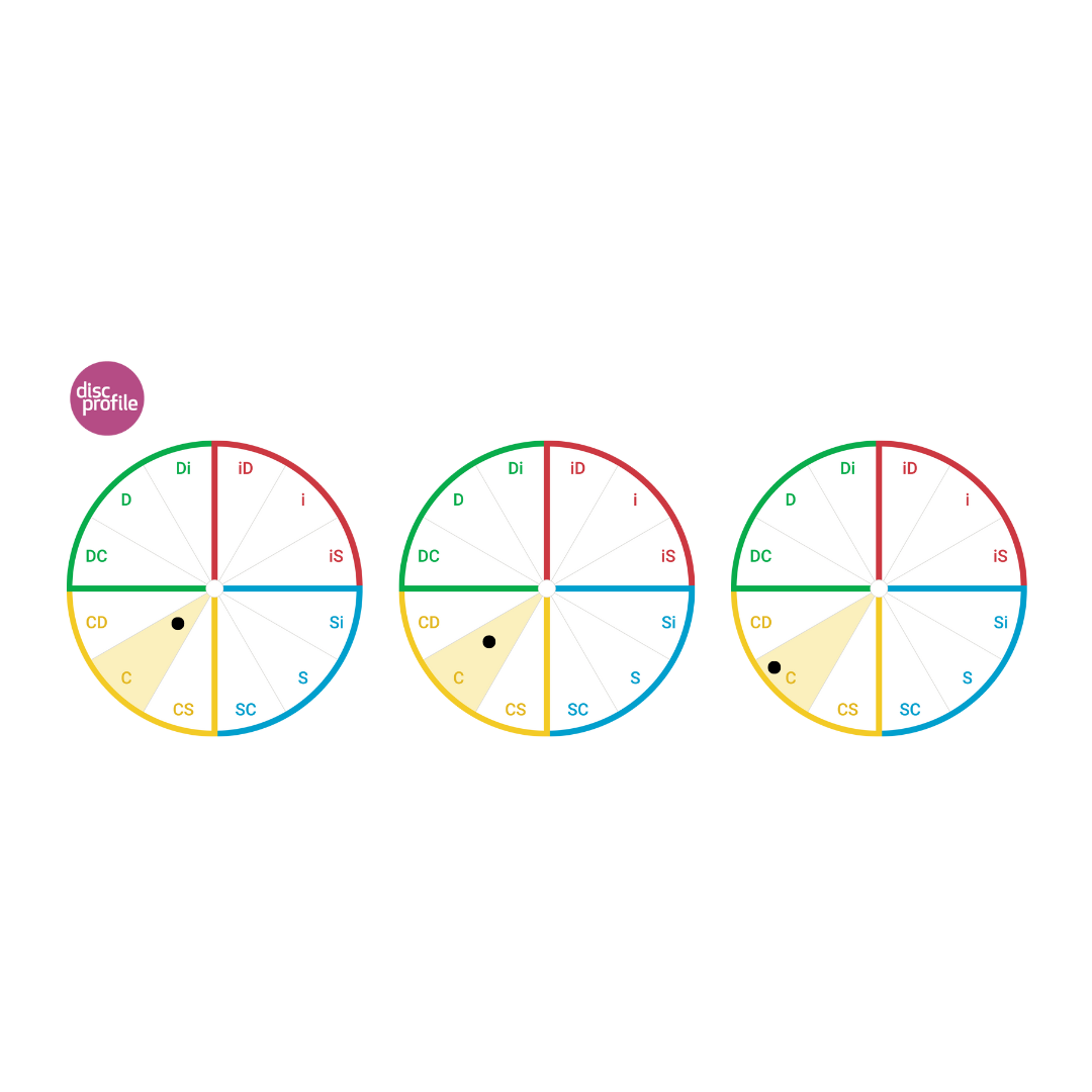 Everything DiSC map with showing a dot in the C quadrant