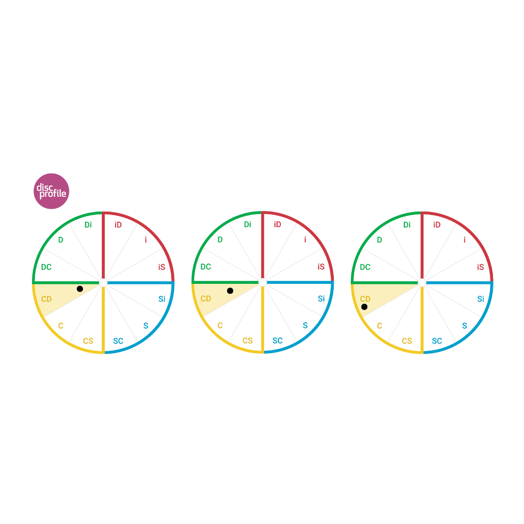 Circle showing the twelves DiSC style wedges, with the CD style highlighted