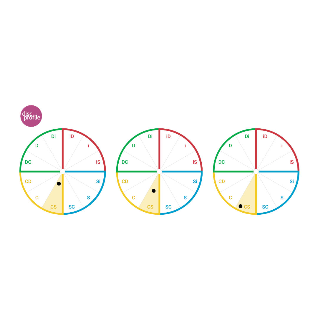 Circle showing the twelves DiSC style wedges, with the CS style highlighted