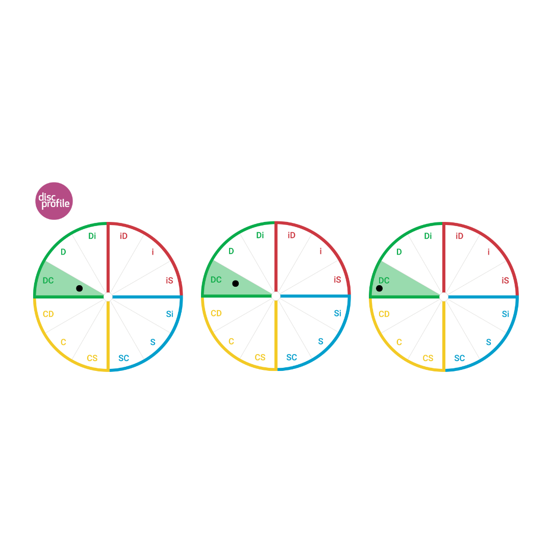 Circle showing the twelves DiSC style wedges, with the DC style highlighted