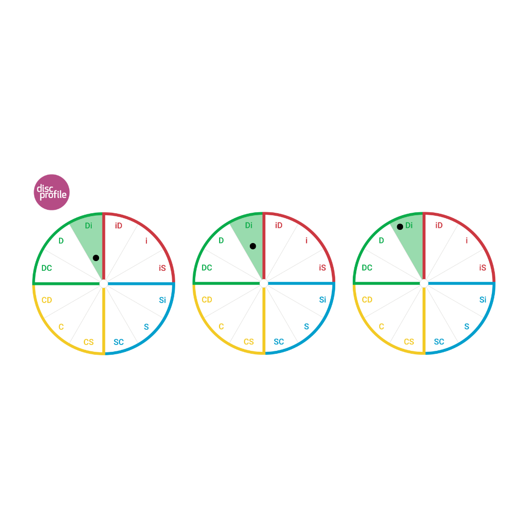 Circle showing the twelves DiSC style wedges, with the Di style highlighted