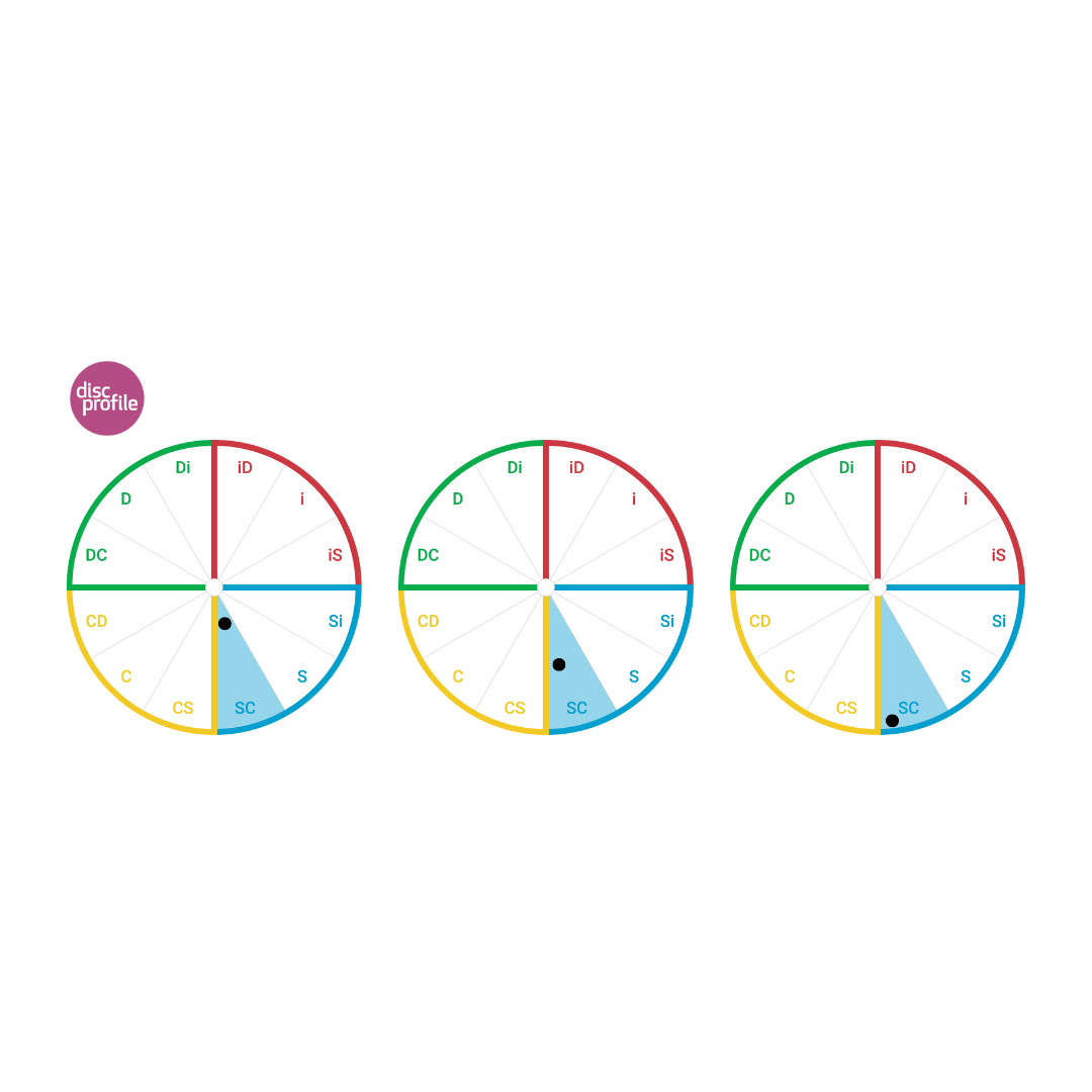 Circle showing the twelves DiSC style wedges, with the SC style highlighted