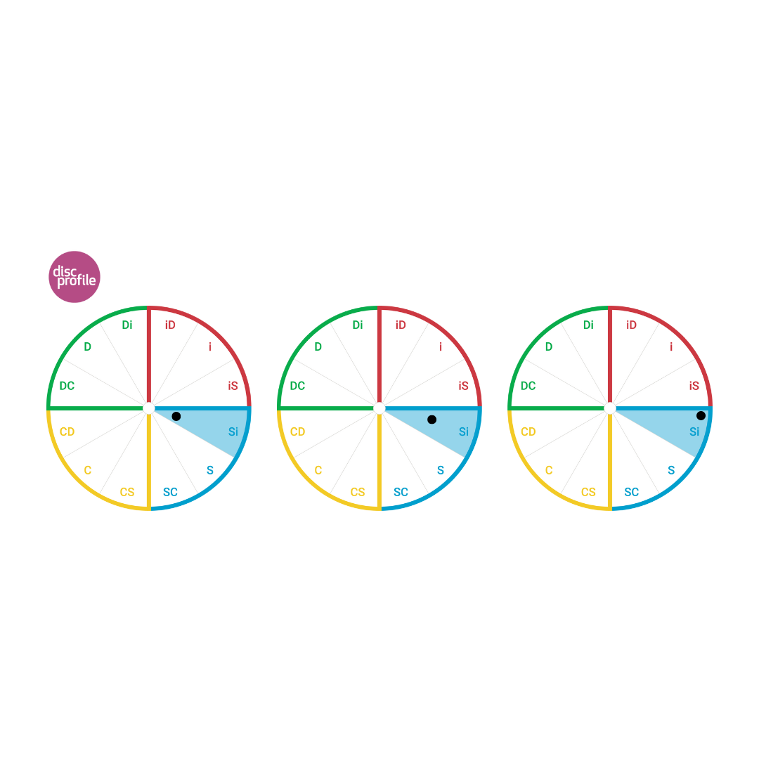 Circle showing the twelves DiSC style wedges, with the Si style highlighted