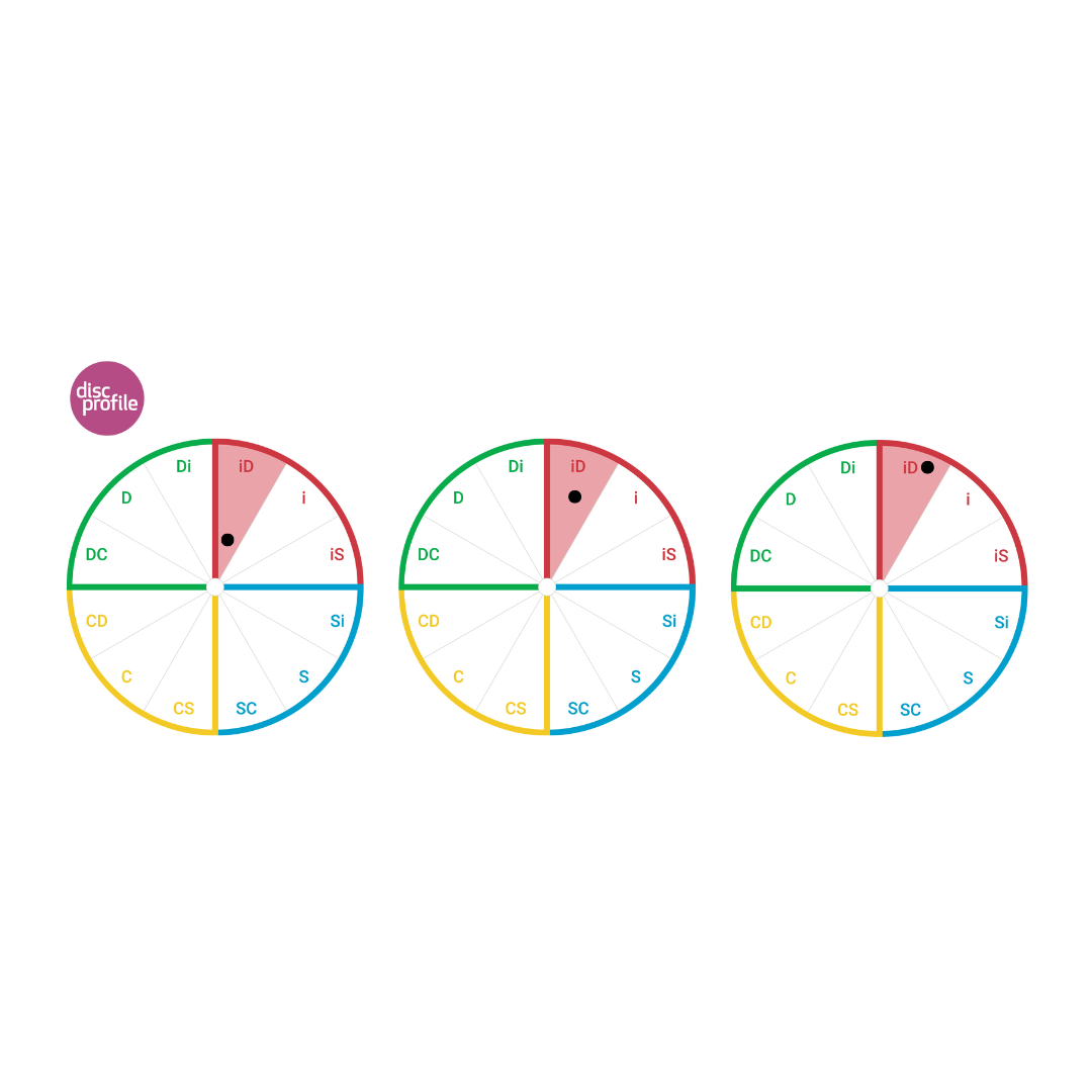 Circle showing the twelves DiSC style wedges, with the iD style highlighted