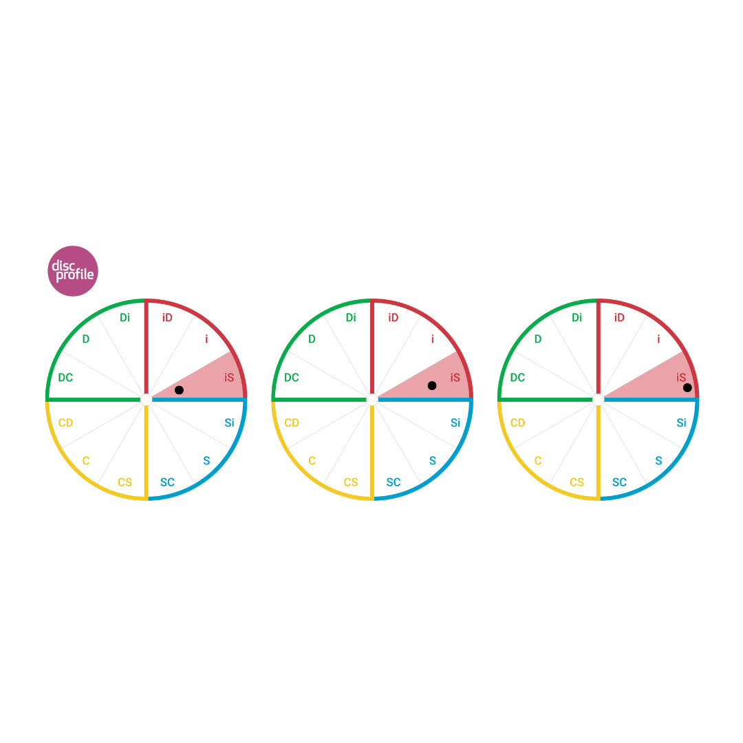 Circle showing the twelves DiSC style wedges, with the iS style highlighted