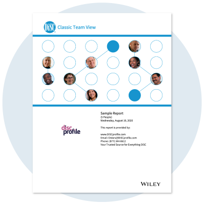 DiSC® Classic Team View Report - DiSC Profile