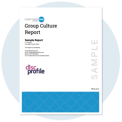 Group Culture Report cover